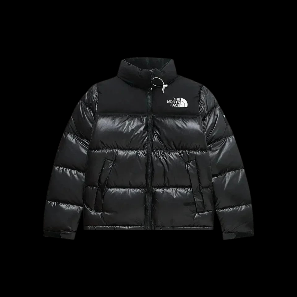 "TNF JACKET"